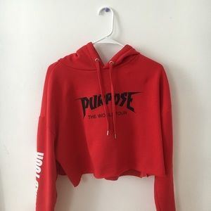 Purpose tour hoodie